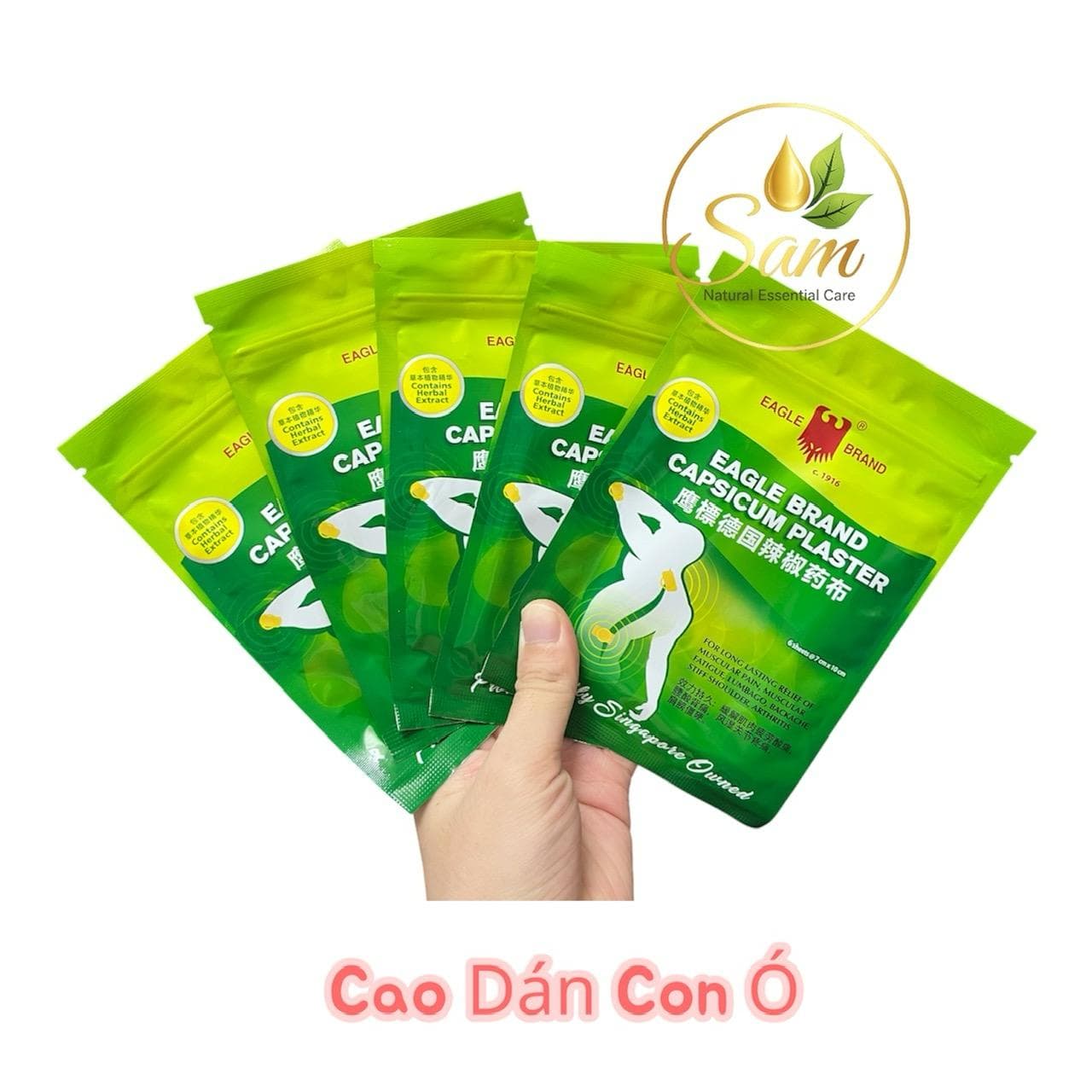 Cao Dán Ớt Con Ó Capsicum Plaster 2