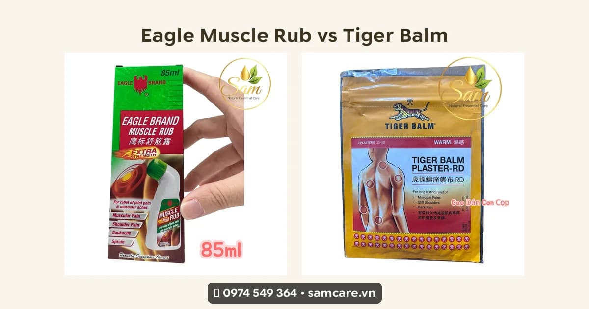 Eagle Muscle Rub vs Salonpas vs Tiger Balm — chọn dầu xoa cơ nào cho dân thể thao?