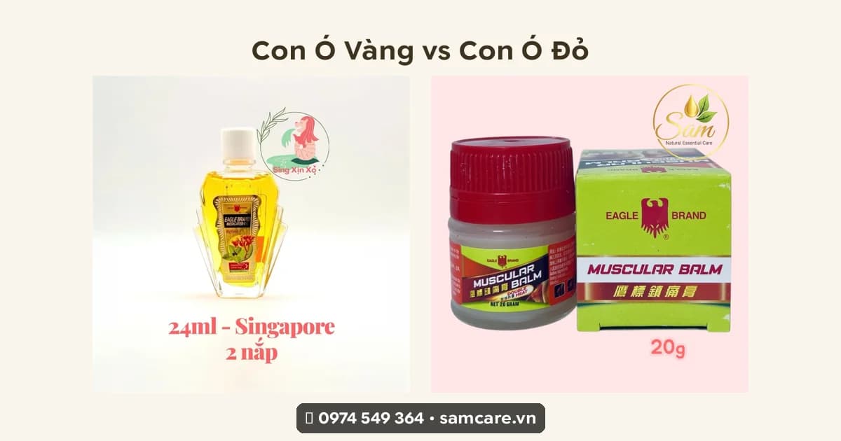 Phân biệt dầu gió Con Ó Vàng và Con Ó Đỏ — chọn loại nào cho nhu cầu của bạn?